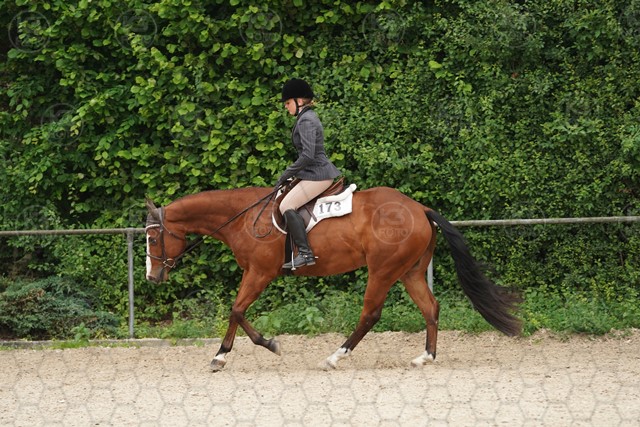 sA9K09915.JPG